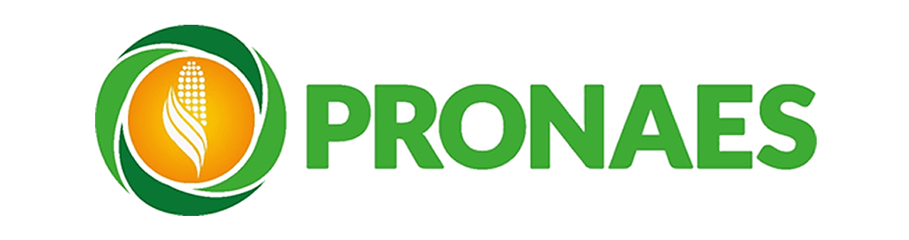 Logo pronaes